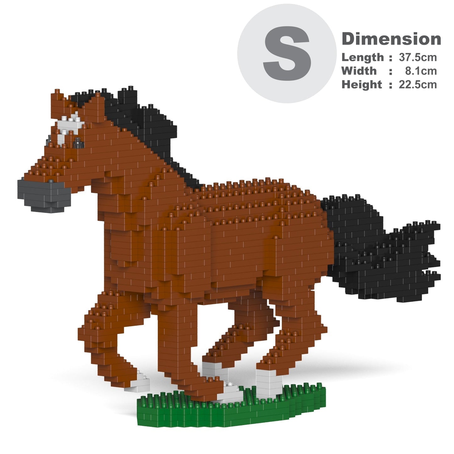 Horse 01-M01