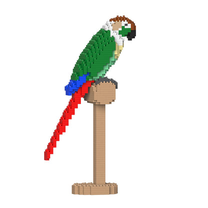 Green Cheek Conure 01S-M01