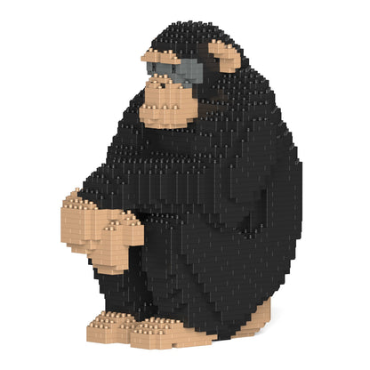 Chimpanzee 01