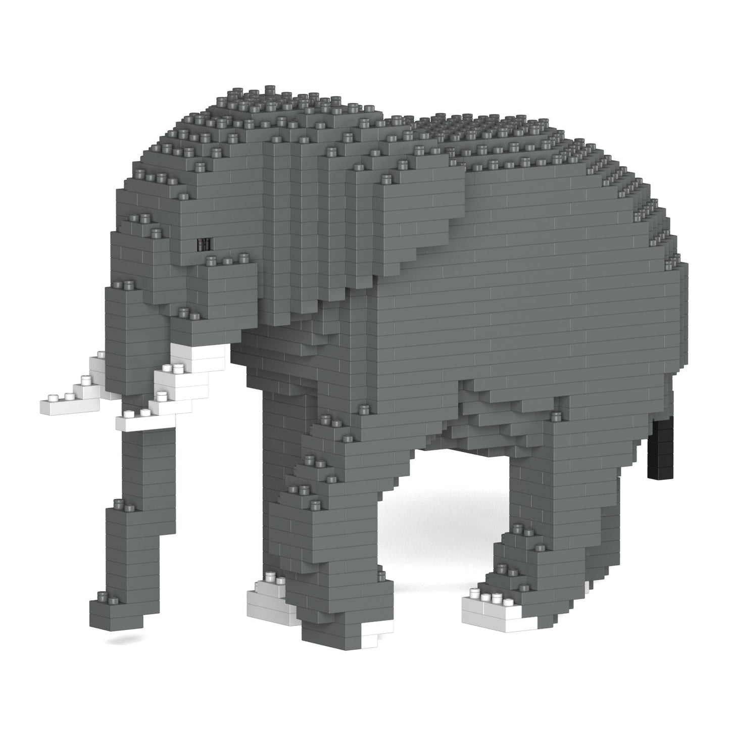 Elephant 03