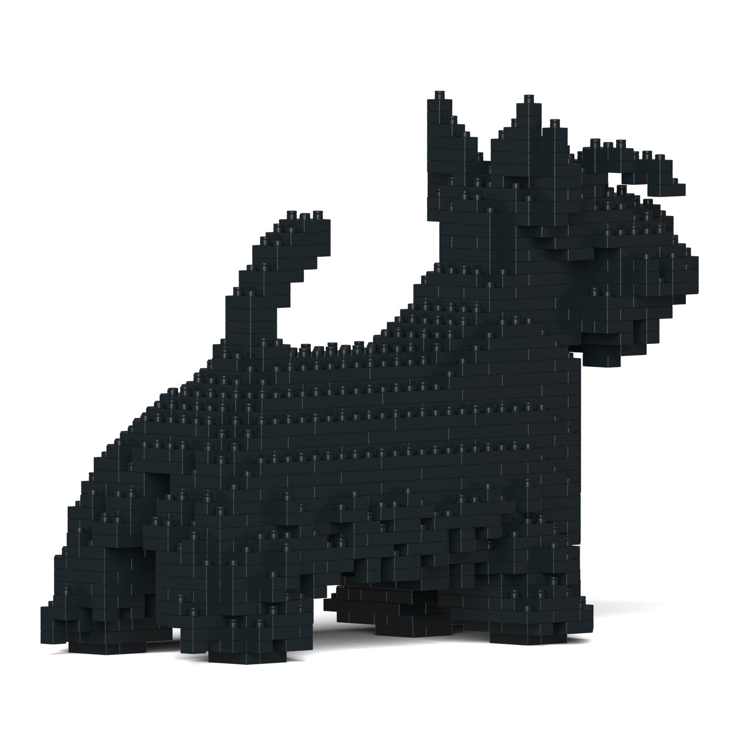 Scottish Terrier 01-M01