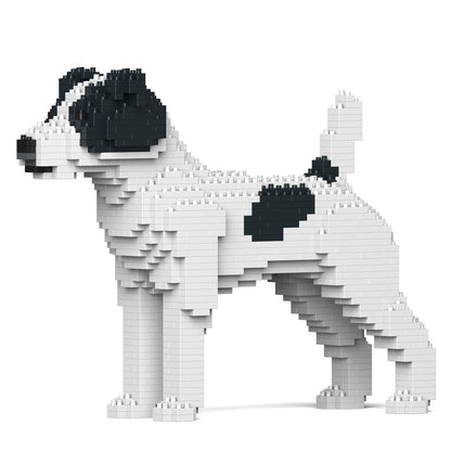 Jack Russell Terrier 01-M02