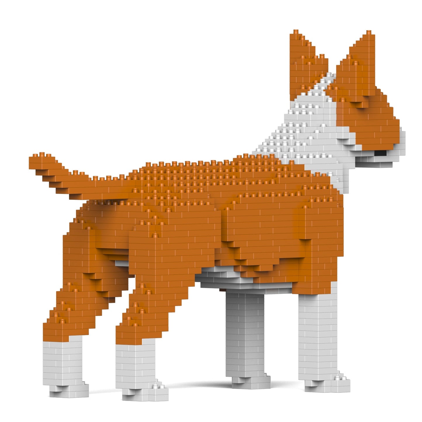 English Bull Terrier 01-M02