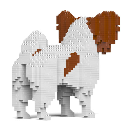 Papillon Dog 01-M02