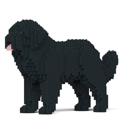 Newfoundland Dog 01-M02