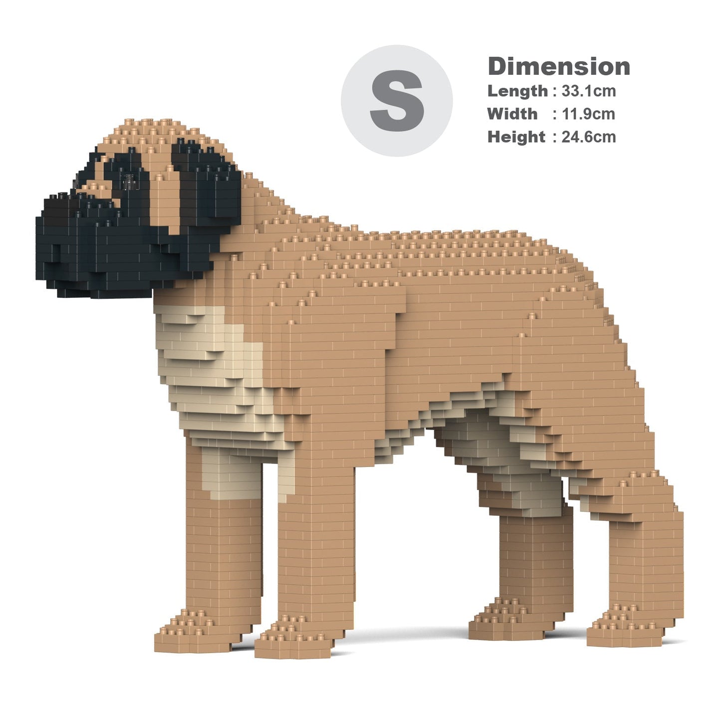 English Mastiff 01-M01