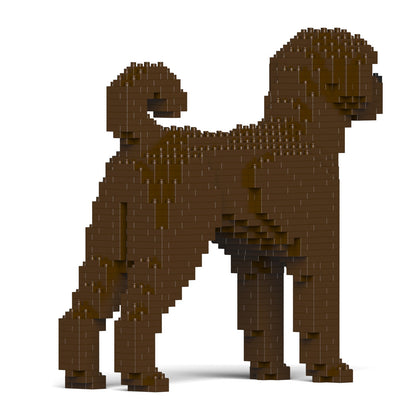 Labradoodle 01-M03