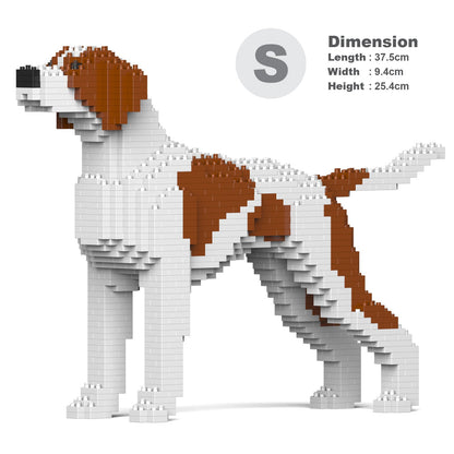 English Pointer 01-M01