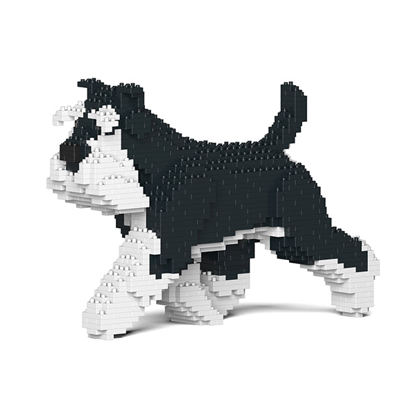 Standard Schnauzer 03-M02