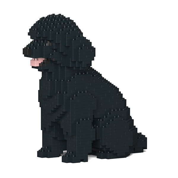 Toy Poodle 03-M02