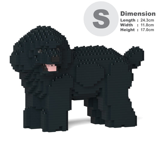 Toy Poodle 05-M02